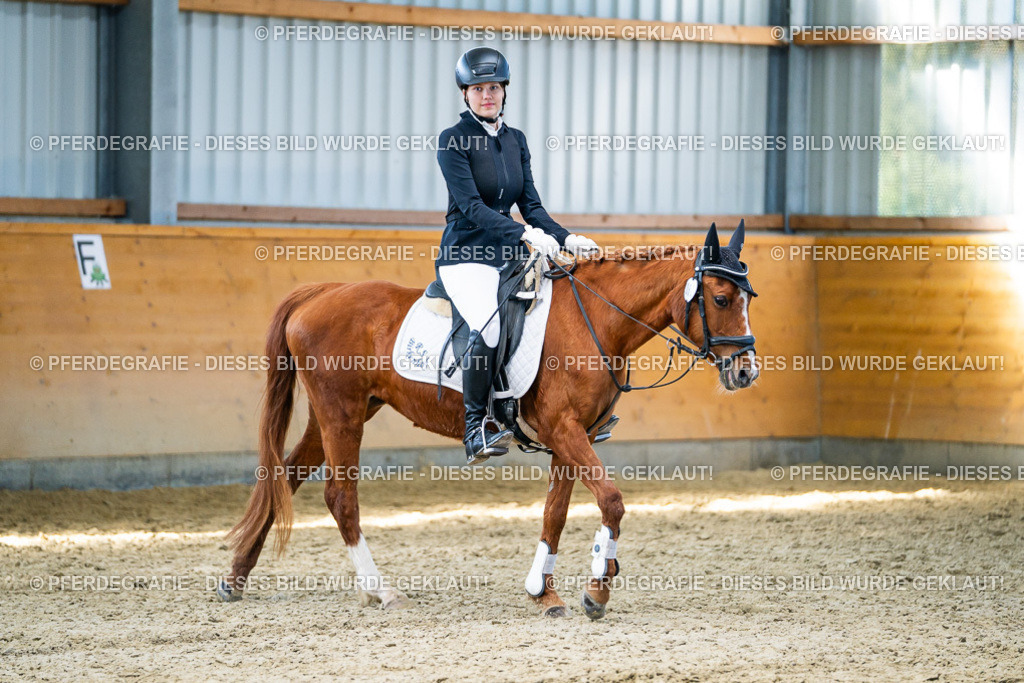 DSC01979 | Pferdegrafie