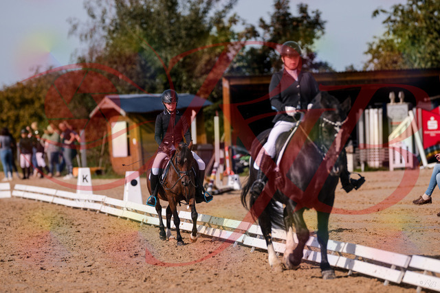 2026_10_03_Siefer-Hof_120959_Z81_11723313 | Professionelle Reitsport-, Turnier- und Eventfotografie von Robert Broda. Galerien mit ausgewählten und bearbeiteten Bildern direkt online ansehen und bestellen.