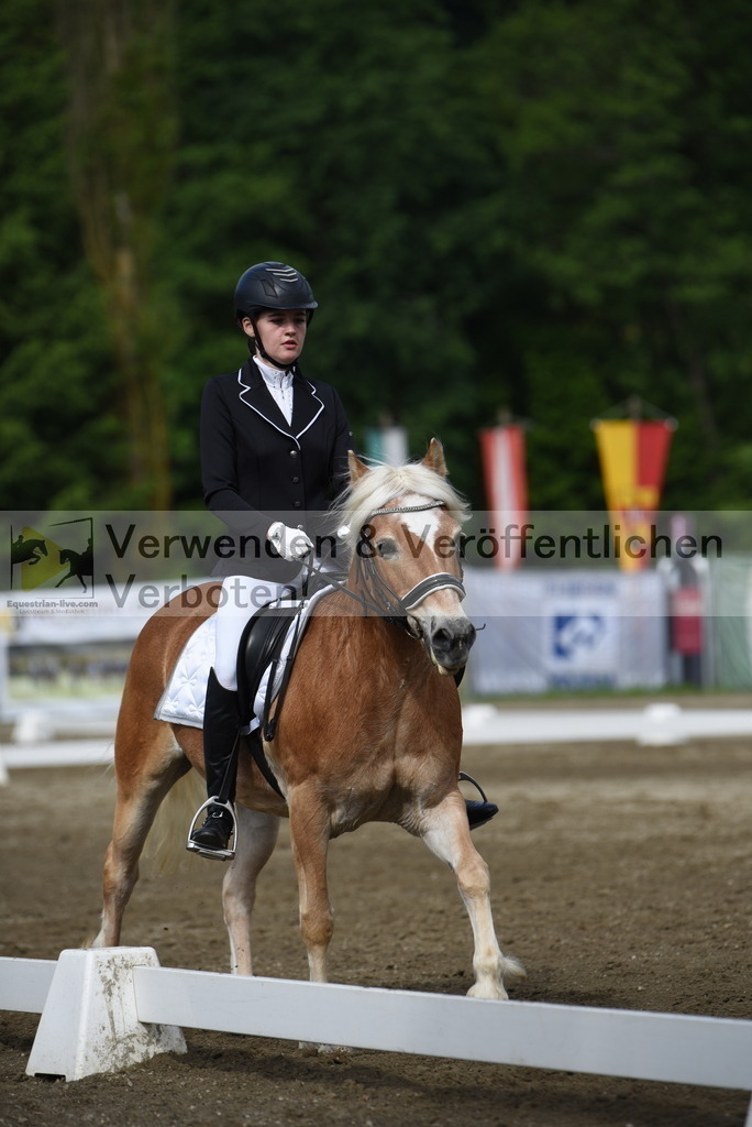DSC_7750 | equestrian-live-com
