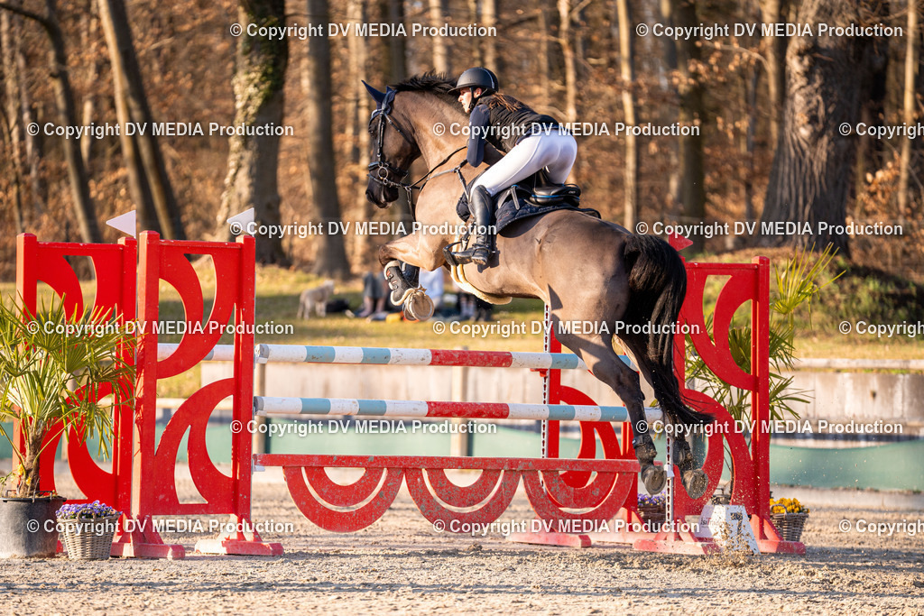 Kranichstein Tag 2-1062 | dv-media-shop - Realisiert mit Pictrs.com