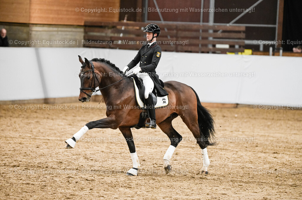 20260307_Hengstvorstellung-Marbach_0388 | equistock