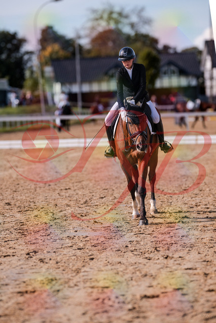 2026_10_03_Siefer-Hof_131948_Z81_69889129 | Professionelle Reitsport-, Turnier- und Eventfotografie von Robert Broda. Galerien mit ausgewählten und bearbeiteten Bildern direkt online ansehen und bestellen.
