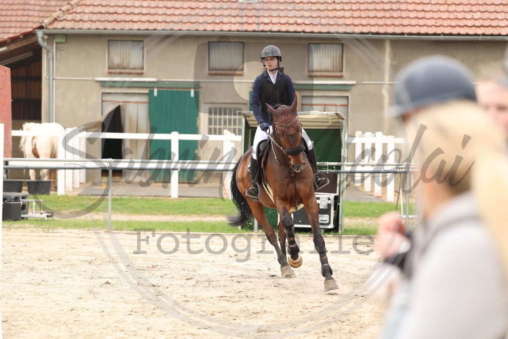 994A8881 | sabrinanicolaifotografie - Realisiert mit Pictrs.com