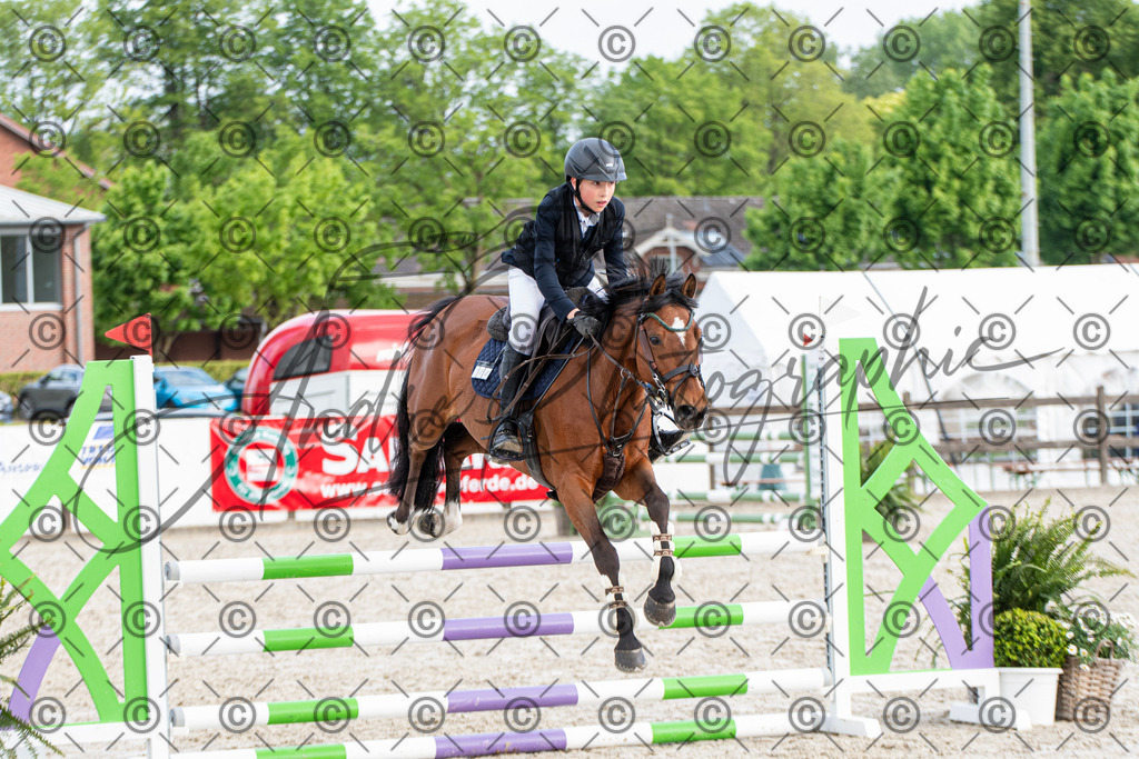 KPT_7995 | andre_photographic