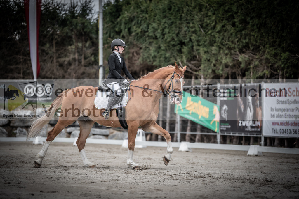 DSC_2655 | equestrian-live-com