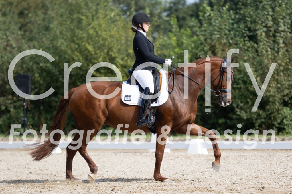 IMG_3417 | Creatify Fotografie