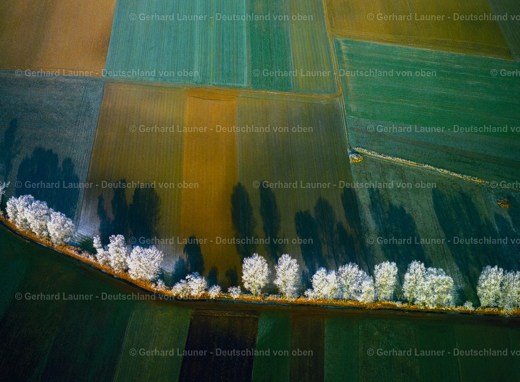 2755005 | Bäume mit Reif bei Kitzingen