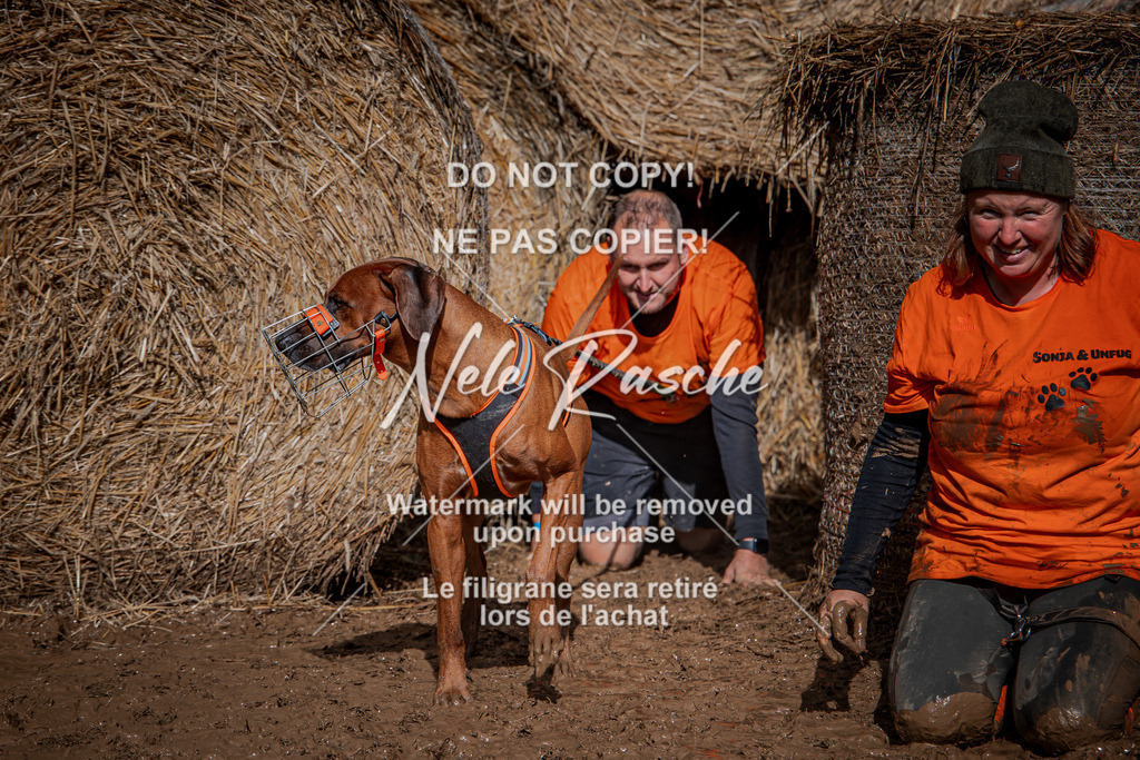 nelerasche_Hunsrück_So13-Ende_22 | nelerasche