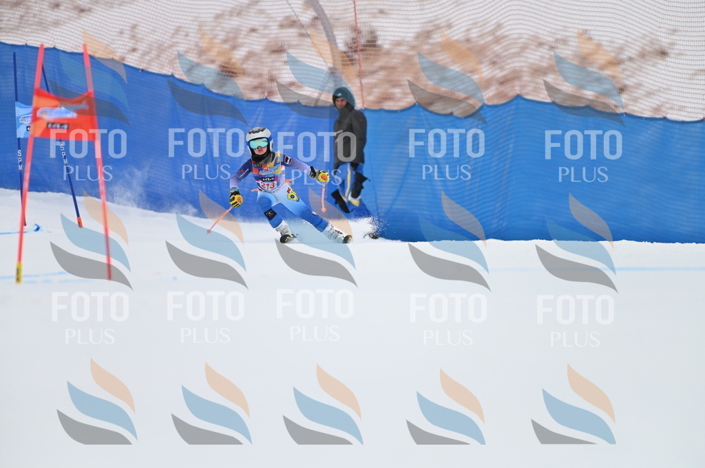 BGV_2553 | holidayphoto