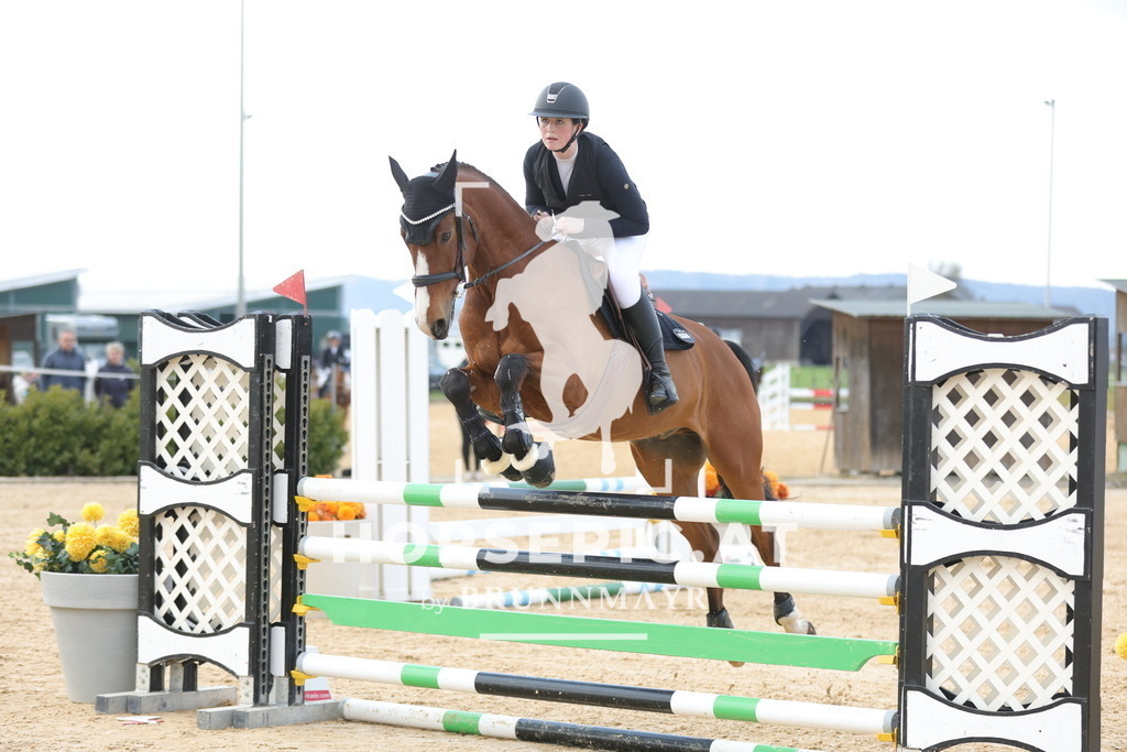 0P6A8705 | Willkommen bei Brunnmayr - Design & Fotografie – Ihrem Spezialisten für Reitturniere und Pferdeveranstaltungen in Oberösterreich, Salzburg und Bayern! Seit über 17 Jahren sind wir leidenschaftlich dabei.