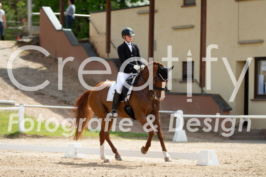 IMG_6468 | Creatify Fotografie