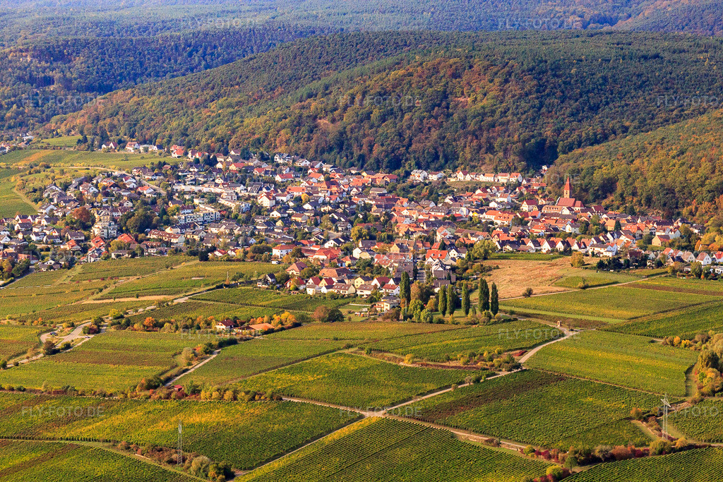 Luftbild: Ortsansicht von Osten im Ortsteil Königsbach in Neustadt im Bundesland Rheinland-Pfalz in Deutschland. Foto: IMG_22021.jpg vom 15.10.2009 durch Werner Riehm/FLY-FOTO.de