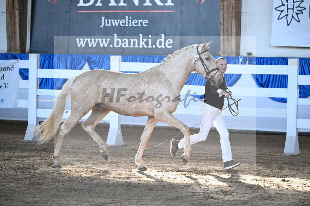 Kat-Nr. 3 Teneree Terrapaz v. Miura de Cais_Landfried_9260059 | hf-fotografie - Realisiert mit Pictrs.com