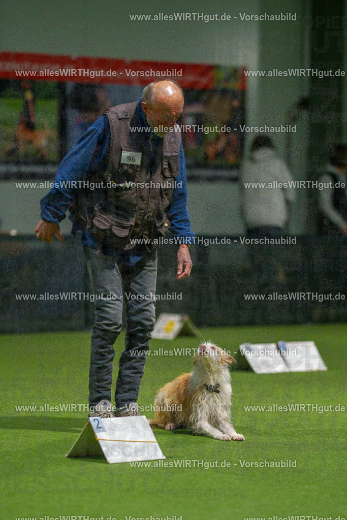 7R509034 | Professionelle Tierfotografie in Mönchengladbach von Daniel Wirth (allesWIRTHgut). Liebevolle & natürliche Bilder von Hunden & Katzen für unvergessliche Erinnerungen.