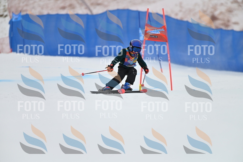 BGV_9552 | holidayphoto