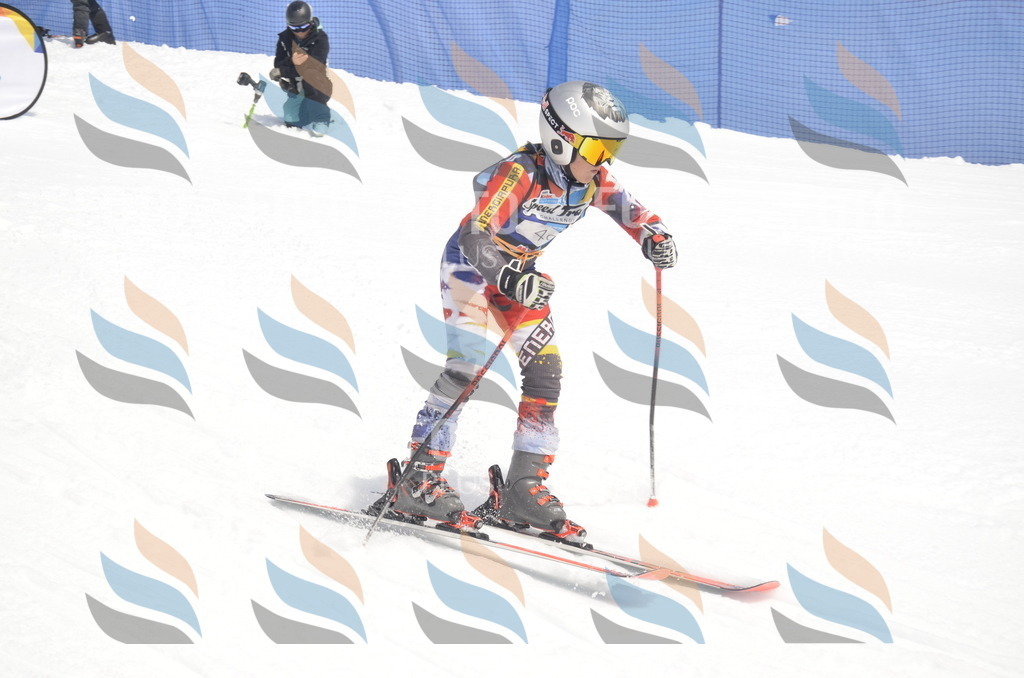 _ELE8805 | holidayphoto