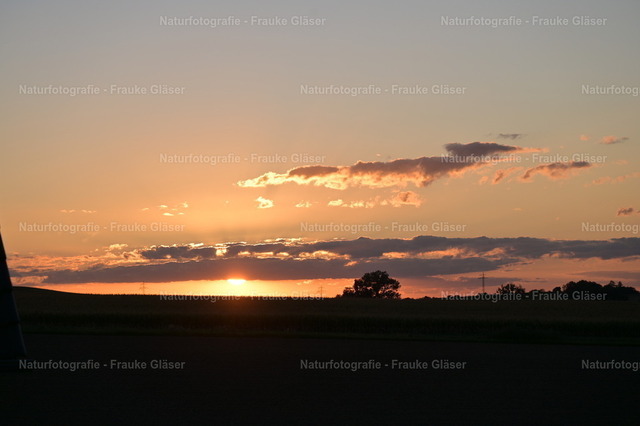 Sonnenuntergang in Bornum (3) | Naturfotografie Frauke Gläser - Realisiert mit Pictrs.com