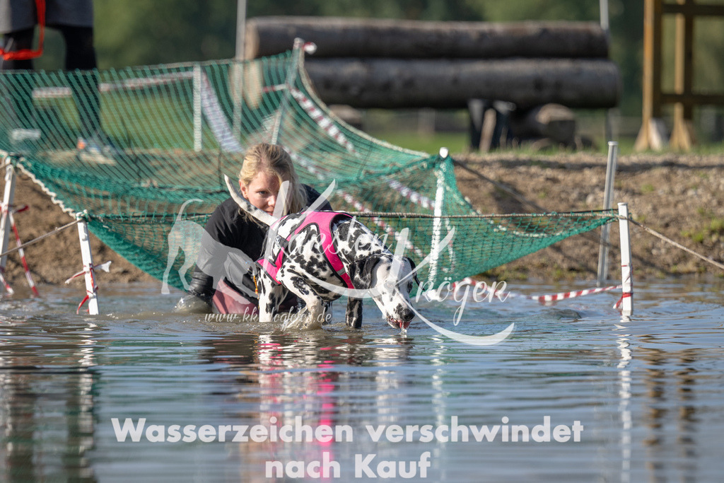 1117_ZZ92119 | kk-dogfotos