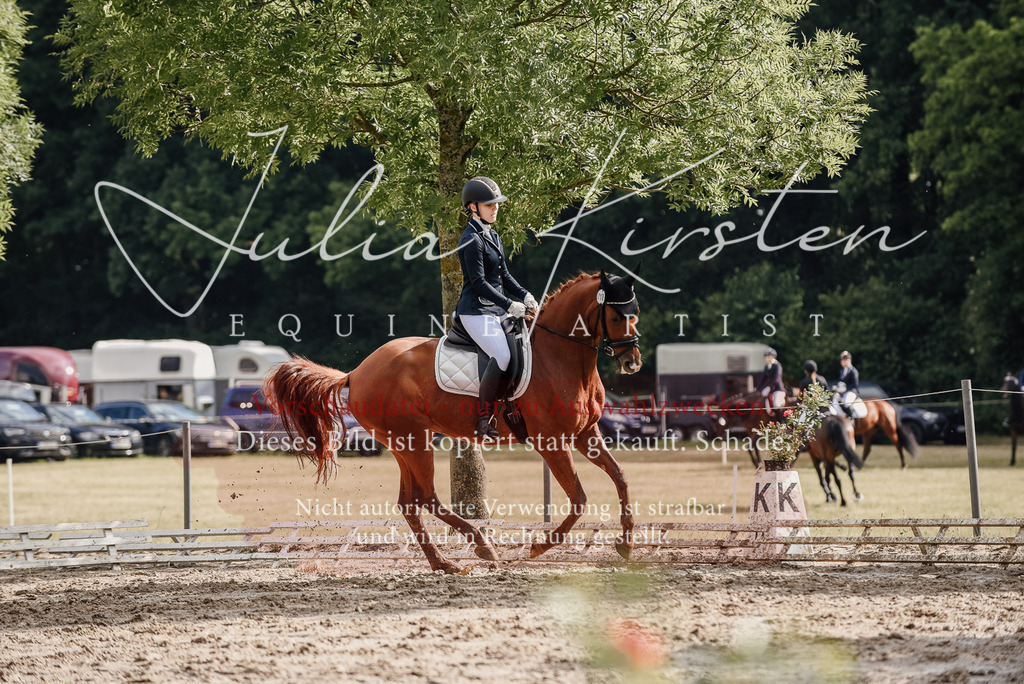 DSC_8932 | Pferde- und Turnierfotografie in Westsachsen. Pferdeportraits, Auftragszeichnungen und intuitive Kunst.