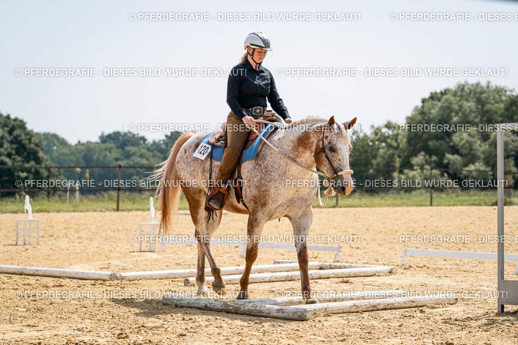 DSC00599 | Pferdegrafie