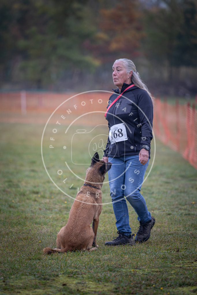 Pfotenfotografie_DV3A9046 | Hundefotografie, Tierfotograf, Pfotenfotografie, Fotoshooting Hund, Hunde Portrait, Hundesport, Hundeportraits, Heideshooting, Hunde, Sportfotograf, Hundefotograf, Turnierhundsport, THS,  - Realisiert mit Pictrs.com