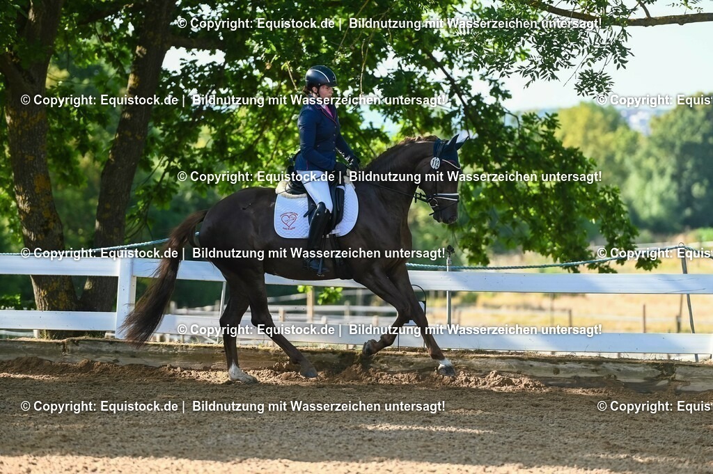 20230715_06_Dressurpferdeprfg. Kl.A_0142 | equistock