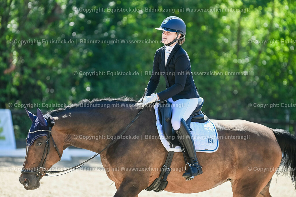 20230908_06_Dressur-L-Trense_0511 | equistock