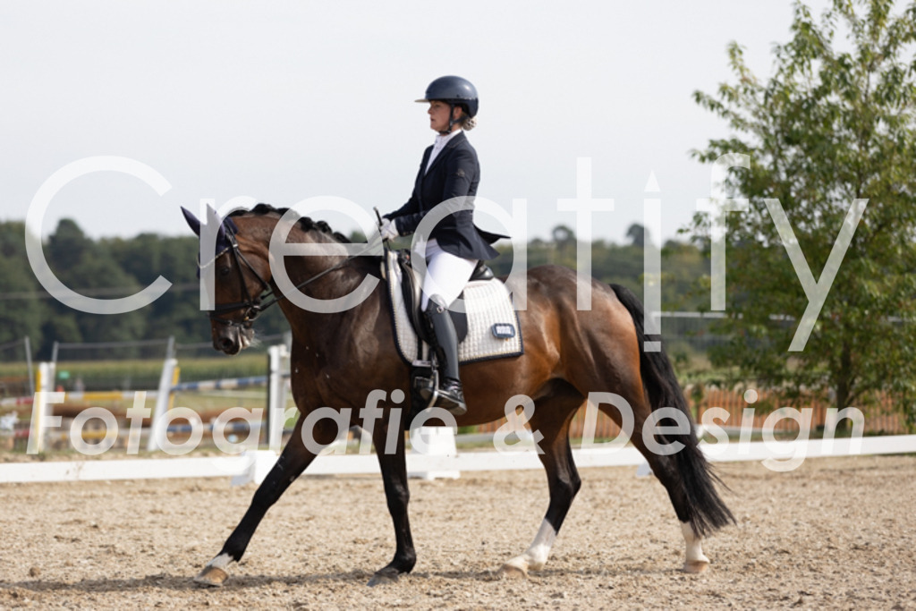 IMG_4121 | Creatify Fotografie