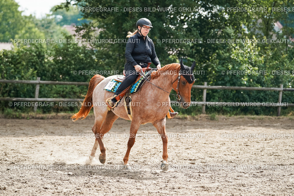 DSC04343 | Pferdegrafie