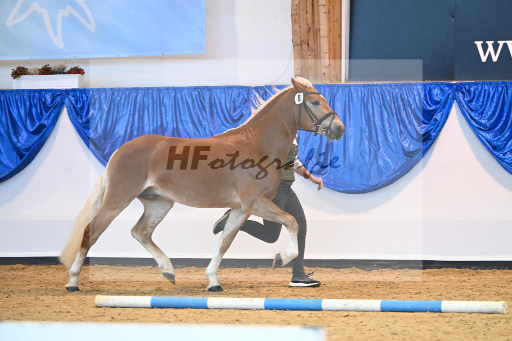 Kat-Nr. 8 Bendix v. Bugatti_Meier_60220666 | hf-fotografie - Realisiert mit Pictrs.com