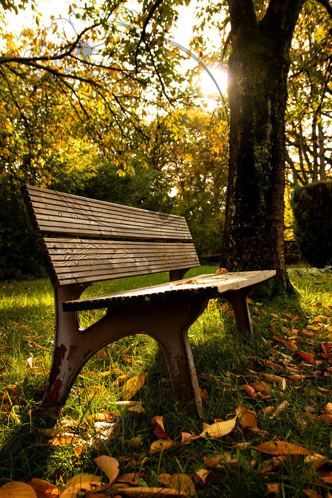 IMG_5476 | only.this.little.world - Realisiert mit Pictrs.com