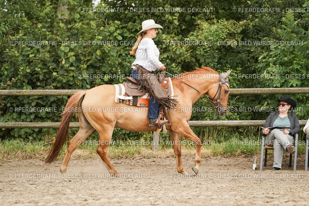 DSC08989 | Pferdegrafie