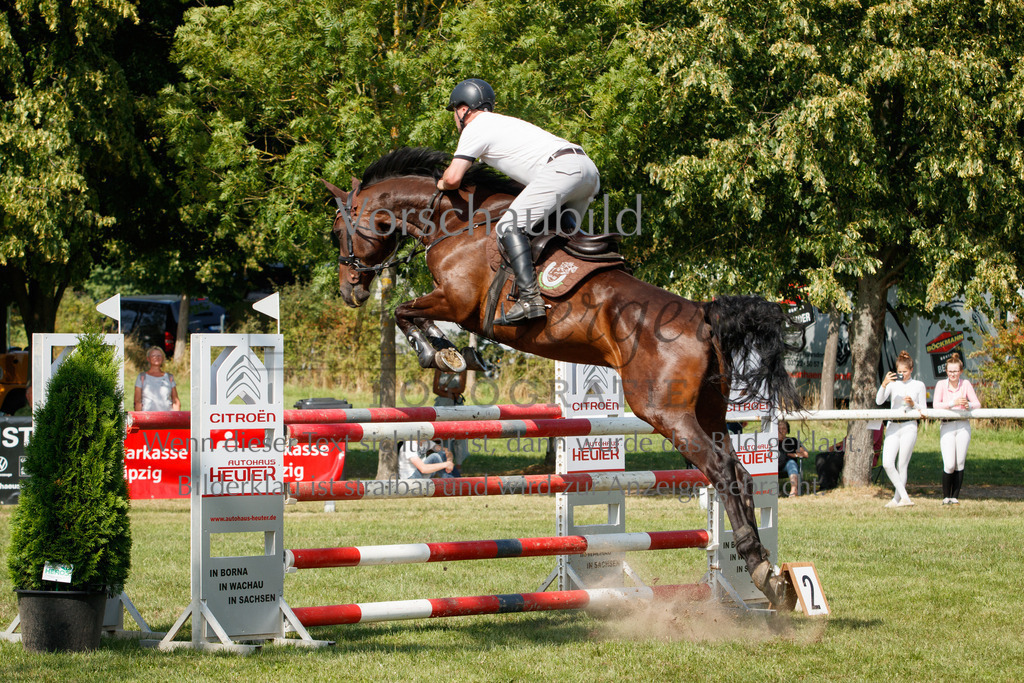 IMG_3649 | P. Berger Fotografie - Realisiert mit Pictrs.com