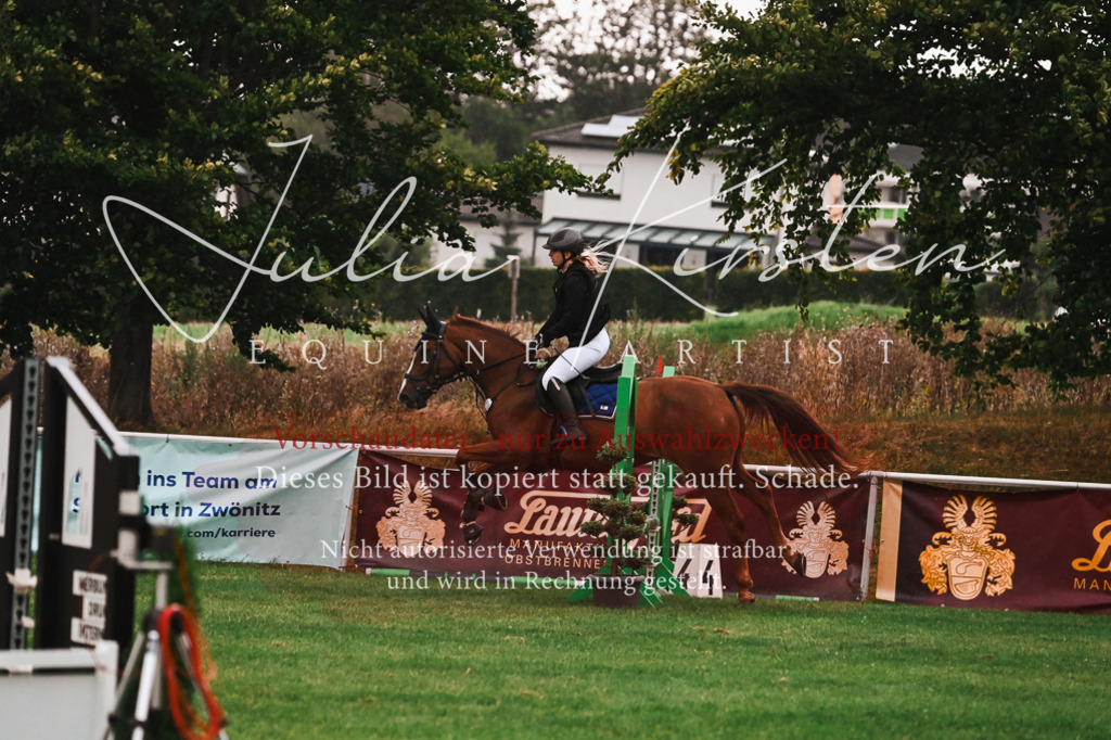 DSC_6080 | Pferde- und Turnierfotografie in Westsachsen. Pferdeportraits, Auftragszeichnungen und intuitive Kunst.