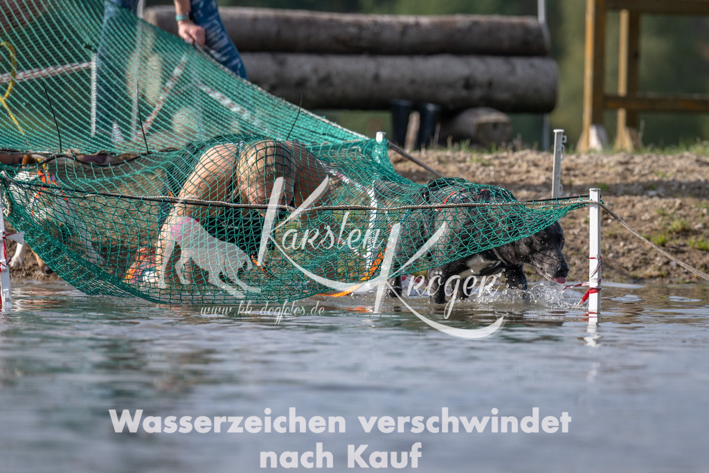 1150_ZZ94380 | kk-dogfotos