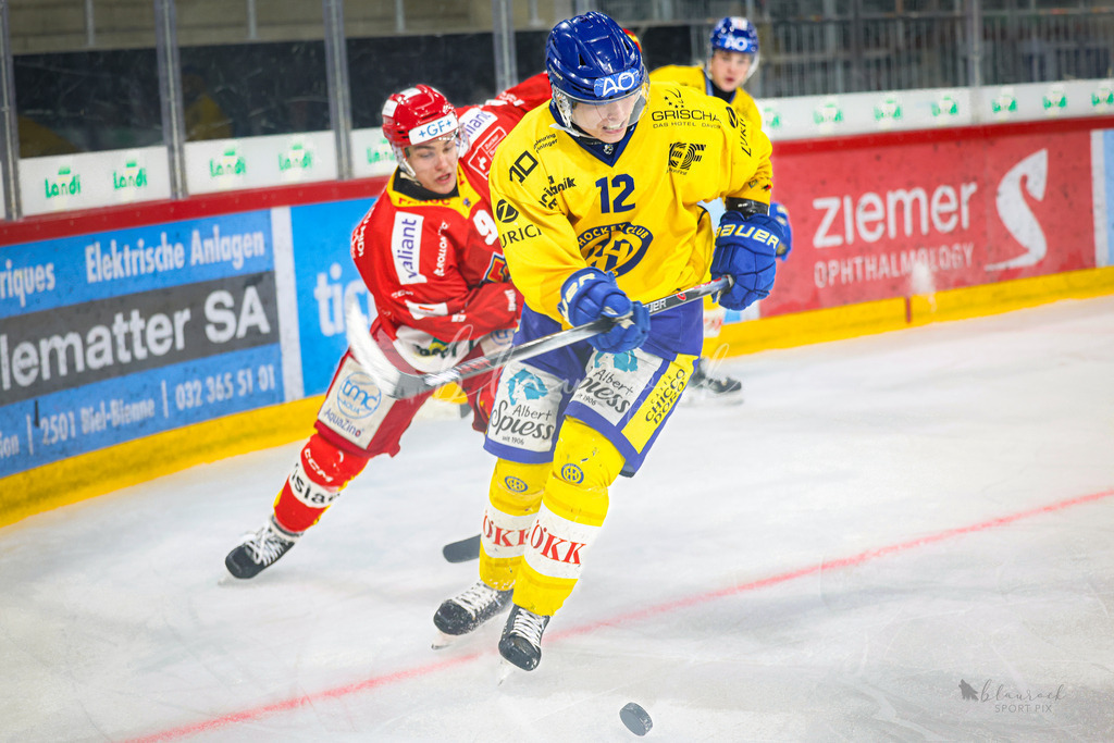 U21_EHCB vs HCD_wb20260308-0592 | Sportbilder, Sportfotograf, Hochzeits- und Eventfotografin, Flugshows, Portraits und Tiershooting, Aviation, Downhill, Nationalleague, Swissleague, International