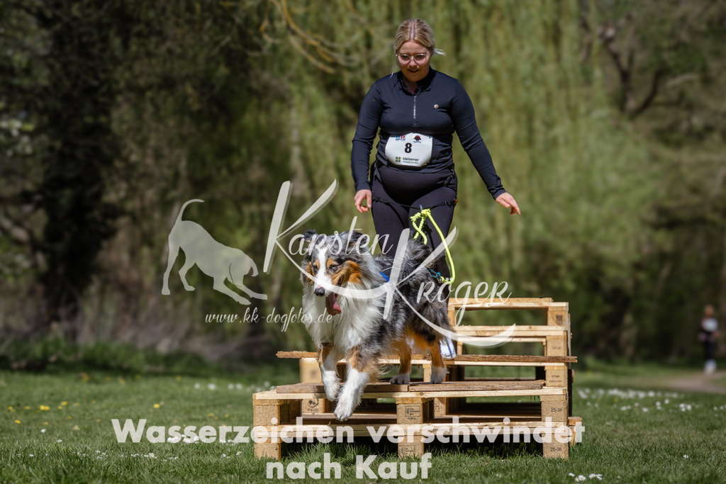 1236_ZZ92680 | kk-dogfotos