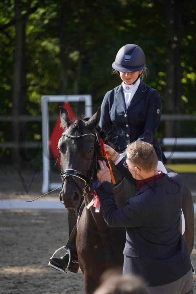 rveinoedsamstag (684) | d.tail Visions - Shop - Realisiert mit Pictrs.com