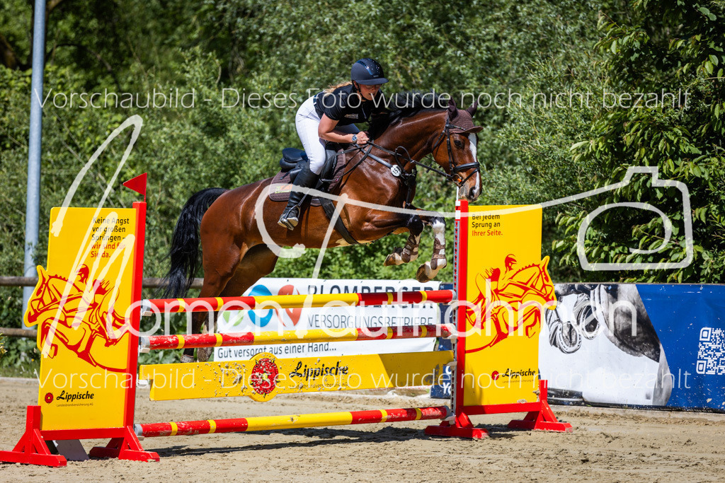 Donop24-Stil-L-025 | MomenTaufnahmen Pferdesportfotos