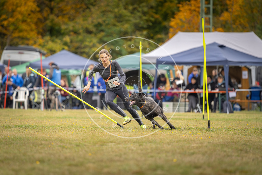 Pfotenfotografie_DV3A4229 | Hundefotografie, Tierfotograf, Pfotenfotografie, Fotoshooting Hund, Hunde Portrait, Hundesport, Hundeportraits, Heideshooting, Hunde, Sportfotograf, Hundefotograf, Turnierhundsport, THS,  - Realisiert mit Pictrs.com
