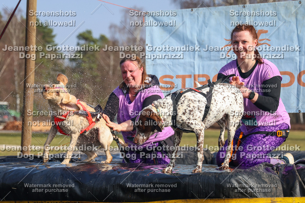 Dog Paparazzi - Strongdog North Mrz26-2678 | Dog Paparazzi Jeanette Grottendiek Fotografie & Videografie - Realisiert mit Pictrs.com