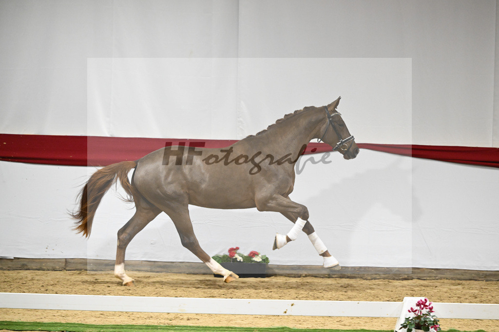 Kat-Nr. 56 v. Feinrich_Fink_63221706 | hf-fotografie - Realizzato con Pictrs.com