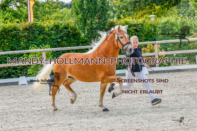 GK (556 von 759) | mandyhollmannphotographie