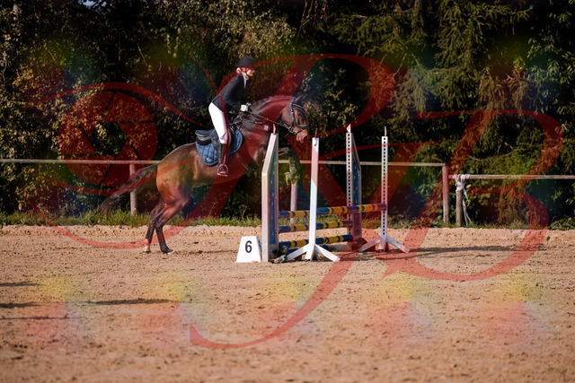 2026_10_03_Siefer-Hof_154155_Z81_59099975 | Professionelle Reitsport-, Turnier- und Eventfotografie von Robert Broda. Galerien mit ausgewählten und bearbeiteten Bildern direkt online ansehen und bestellen.