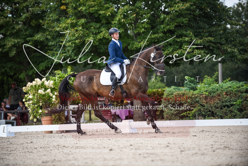 DSC_9198 | Pferde- und Turnierfotografie in Westsachsen. Pferdeportraits, Auftragszeichnungen und intuitive Kunst.