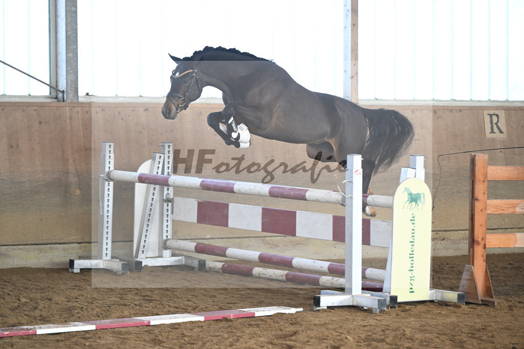 Kat-Nr. 6 Junkbrunnens Nomen est Omen v. Neverland WE_Thomas_49250180 | hf-fotografie - Realisiert mit Pictrs.com