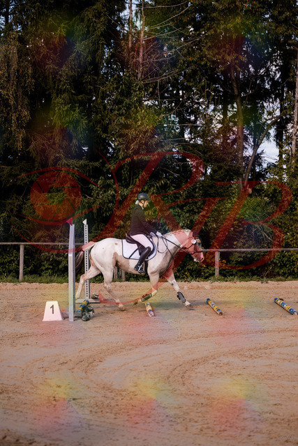2026_10_03_Siefer-Hof_144155_Z81_14303507 | Professionelle Reitsport-, Turnier- und Eventfotografie von Robert Broda. Galerien mit ausgewählten und bearbeiteten Bildern direkt online ansehen und bestellen.