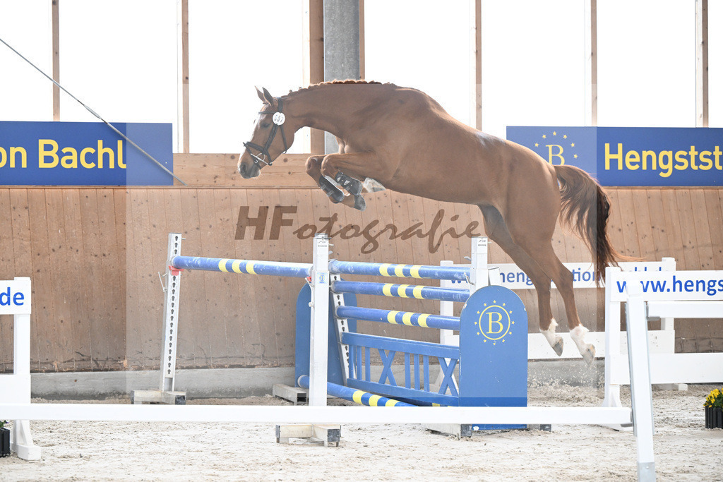 Kat-Nr. 57 Zauberwald v. Talent Charboniere_Bray_5251675 | hf-fotografie - Realisiert mit Pictrs.com