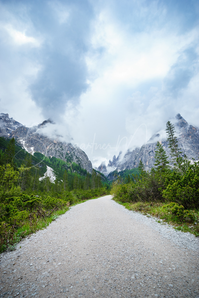 _DSC4804 | Baumgartner Markus Fotografie