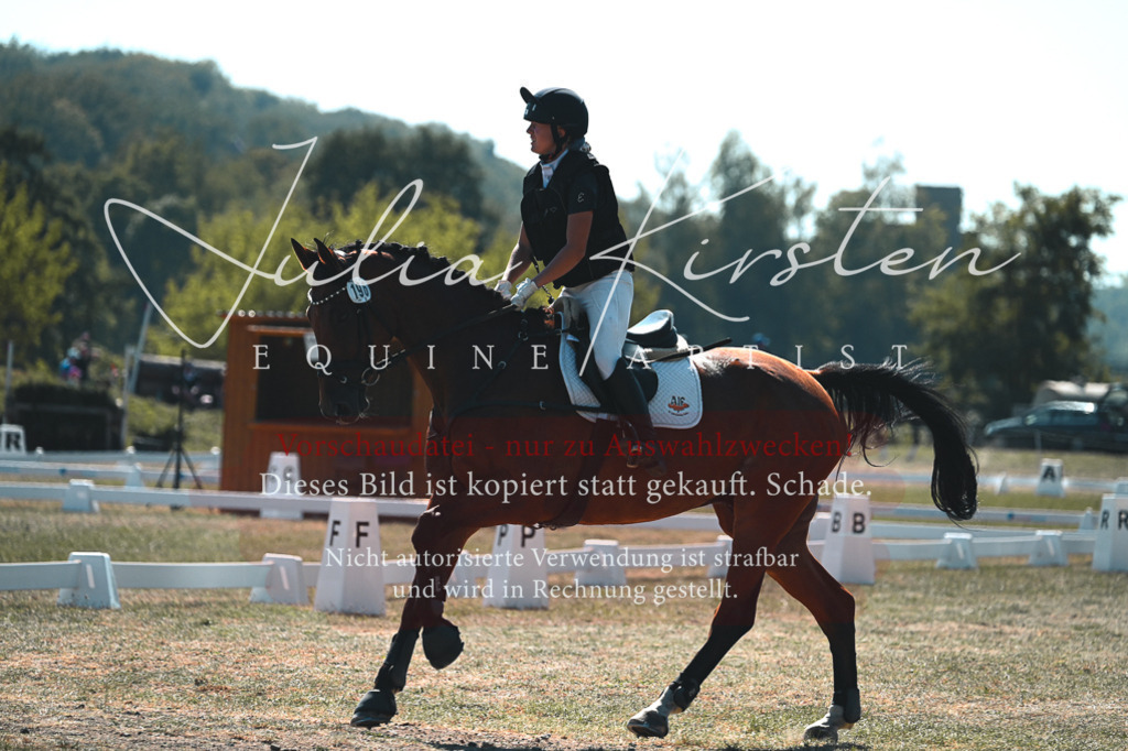 DSC_8390 | Pferde- und Turnierfotografie in Westsachsen. Pferdeportraits, Auftragszeichnungen und intuitive Kunst.